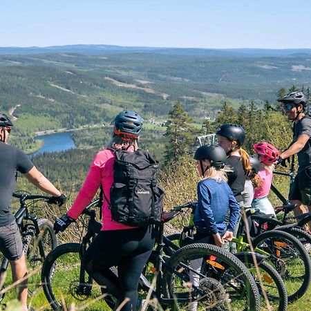 Lyxig Stuga Pa Branaesberget Sysslebäck Eksteriør billede